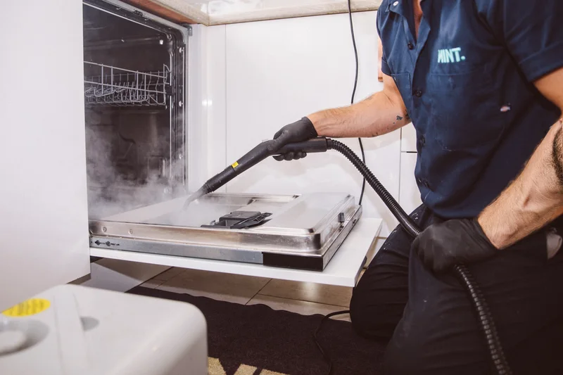 Dishwasher being steam-cleaned